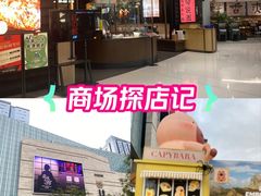-首开·龙湖成都西宸天街