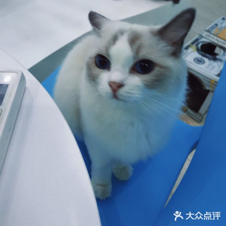 心都萌化了[可怜]