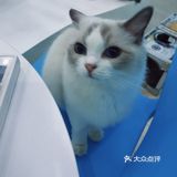 心都萌化了[可怜]