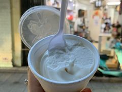 -洪馨椰子