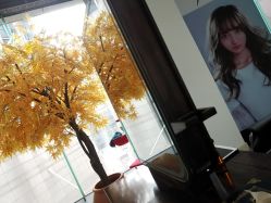 -M Hair造型