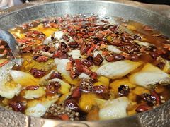 -雲蜀龙阁·金牌水煮鱼(方庄店)