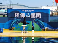 -秦皇岛乐岛海洋王国