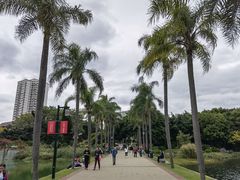 -南宁南湖公园