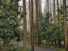 -上海怡沁园度假酒店