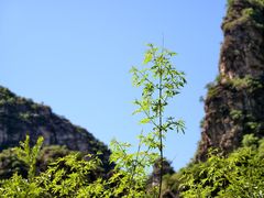 -孤山寨风景区