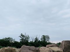 -白鹭湾湿地公园