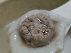 鲜肉汤圆-祥记汤圆(东宝兴路店)