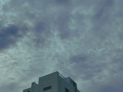 -海岛日记(养马岛店)