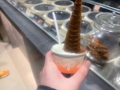 -Dip in Gelato(富民路店)