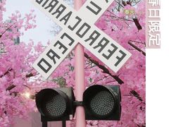 -金茂览秀城