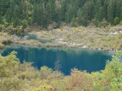 -九寨沟-树正沟