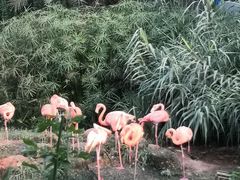 -无锡动物园·太湖欢乐园