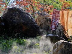 -广州市帽峰山景区