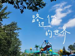 -青年湖公园水上世界