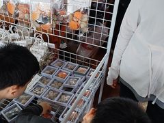 -蓝湾碧波·老字号·疍家非遗海上餐厅