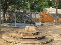 -合肥野生动物园