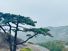 -黄山风景区