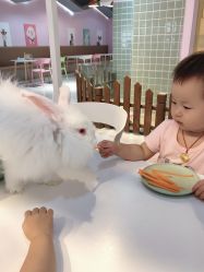 -Moni星球萌宠·小马宝莉·灵蛇·高端高阶全萌宠互动体验俱乐部(红豆国际广场店)