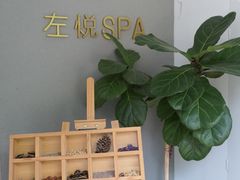 -左悦·艾灸调理·推拿按摩·精油SPA(卓悦汇店)