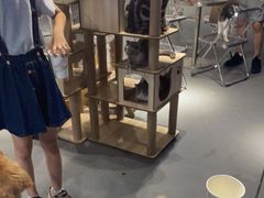大堂-浣熊柯尔鸭土拨鼠·电玩咖