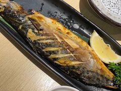 -万岁料理回转寿司(华贸店)