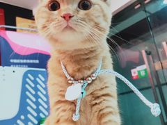 -爱乐蒙艺术·古筝 钢琴 声乐(科华校区)