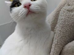 -北京恒爱动物医院(清景园分院)