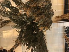 -花十悦·鲜花咖啡餐厅(振业城一期店)
