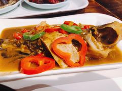 -心怡东北烤冷面(赤峰路店)