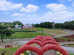 -松山湖梦幻百花洲