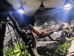 -Zoolung Zoolung动物主题公园(海信广场店)