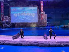 -华夏文旅海洋公园