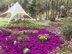 -沂蒙山旅游区云蒙景区(蒙山国家森林公园)