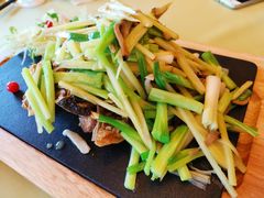 -锦江宾馆-花园餐厅