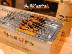 -福苗小骆驼烧烤(莲湖路店)