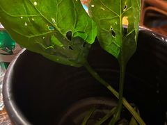 -老牌坊云南鱼豆花火锅(哈西万达店)