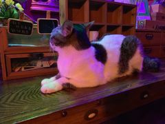 -星宿秘码(鼓浪屿老店)