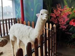 -昆明大悦城未来动物城(螺蛳湾中心店)