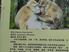 -保定市动物园