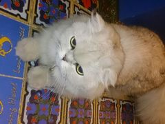 android_upload_pic-广州迷途主题旅馆(海珠广场店)