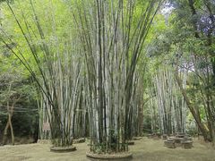 -林丰温泉度假山庄
