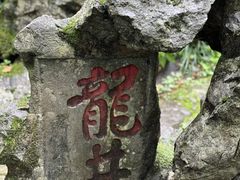 -野蔓果·山野菜(西湖景区·龙井茶田店)