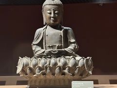 -大同市博物馆