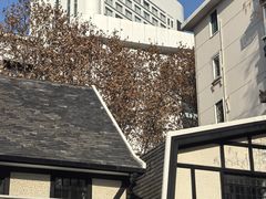 -一尺花园(安和花园店)