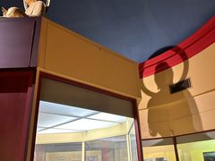 -美国自然历史博物馆