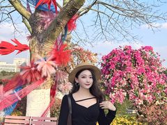 -东莞植物园