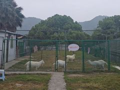 -宁波九龙湖开元度假村