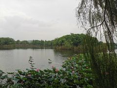 -上海市保健医疗中心