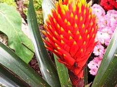 -北京植物园-展览温室